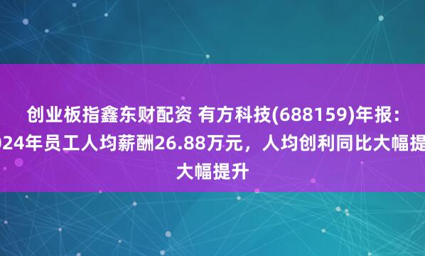 创业板指鑫东财配资 有方科技(688159)年报：2024年员工人均薪酬26.88万元，人均创利同比大幅提升