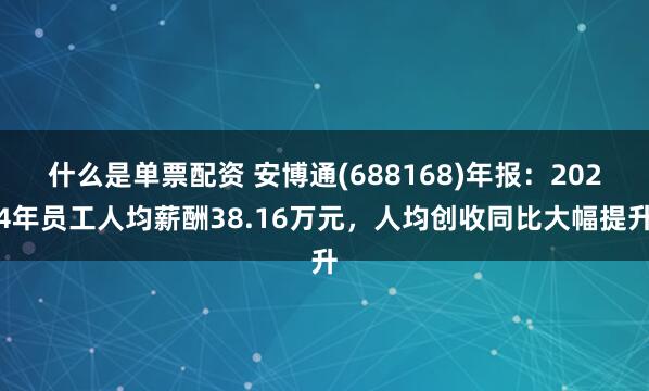 什么是单票配资 安博通(688168)年报：2024年员工人均薪酬38.16万元，人均创收同比大幅提升