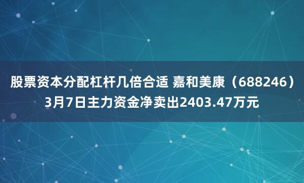 股票资本分配杠杆几倍合适 嘉和美康（688246）3月7日主力资金净卖出2403.47万元
