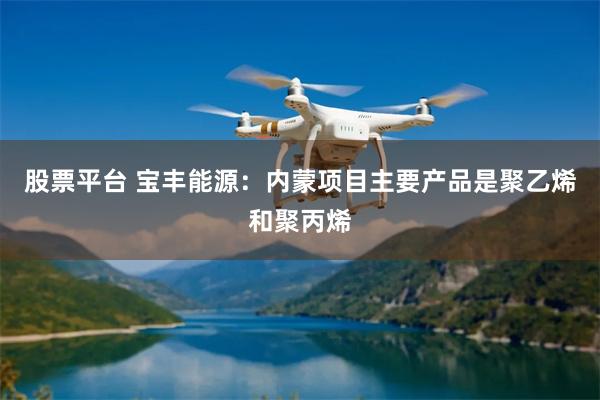 股票平台 宝丰能源：内蒙项目主要产品是聚乙烯和聚丙烯