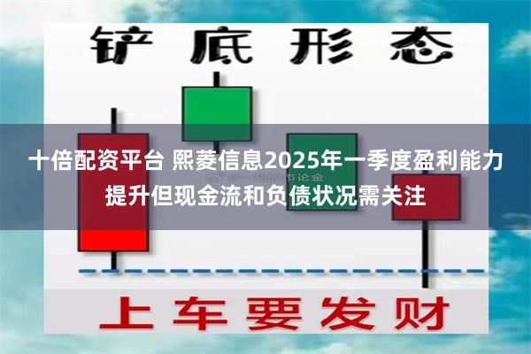 十倍配资平台 熙菱信息2025年一季度盈利能力提升但现金流和负债状况需关注