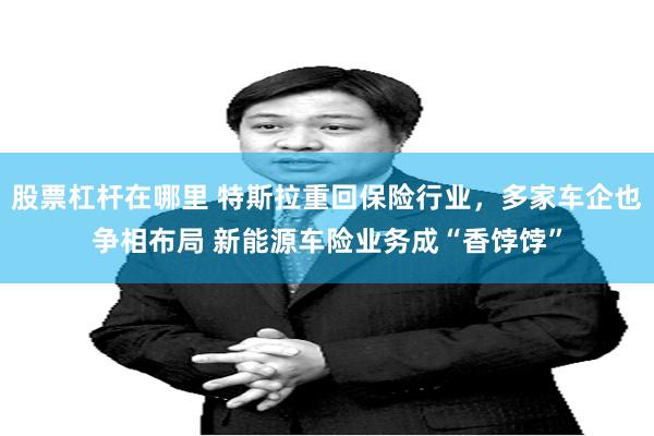 股票杠杆在哪里 特斯拉重回保险行业，多家车企也争相布局 新能源车险业务成“香饽饽”