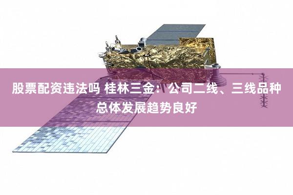 股票配资违法吗 桂林三金：公司二线、三线品种总体发展趋势良好