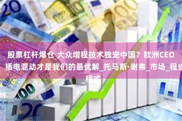 股票杠杆爆仓 大众增程技术独宠中国？欧洲CEO：插电混动才是我们的最优解_托马斯·谢弗_市场_程式