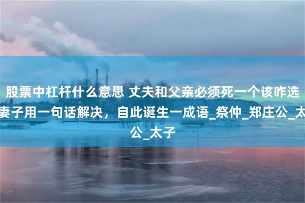 股票中杠杆什么意思 丈夫和父亲必须死一个该咋选？妻子用一句话解决，自此诞生一成语_祭仲_郑庄公_太子