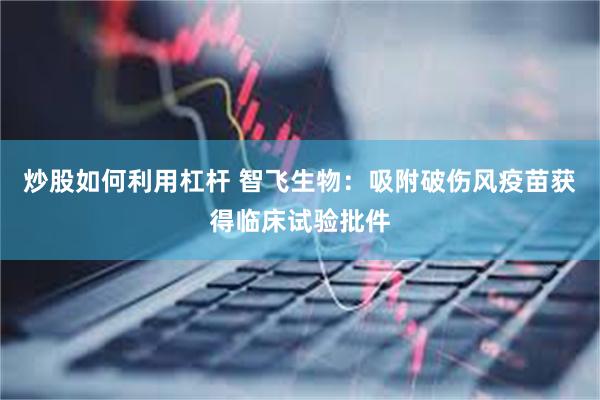 炒股如何利用杠杆 智飞生物：吸附破伤风疫苗获得临床试验批件