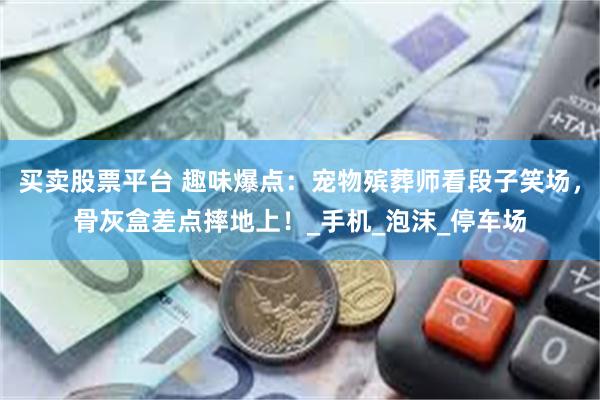 买卖股票平台 趣味爆点：宠物殡葬师看段子笑场，骨灰盒差点摔地上！_手机_泡沫_停车场