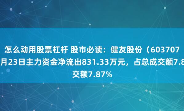 怎么动用股票杠杆 股市必读：健友股份（603707）6月23日主力资金净流出831.33万元，占总成交额7.87%