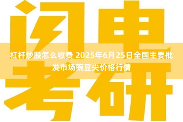 杠杆炒股怎么收费 2025年6月25日全国主要批发市场豌豆尖价格行情