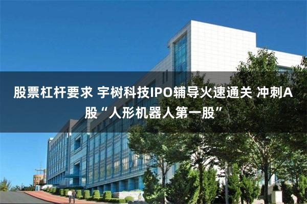 股票杠杆要求 宇树科技IPO辅导火速通关 冲刺A股“人形机器人第一股”
