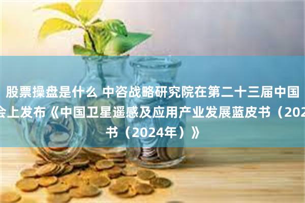 股票操盘是什么 中咨战略研究院在第二十三届中国遥感大会上发布《中国卫星遥感及应用产业发展蓝皮书(2024年)》