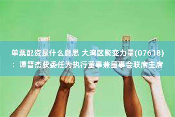单票配资是什么意思 大湾区聚变力量(07618)：谭晋杰获委任为执行董事兼董事会联席主席